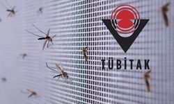 Sivrisineklerle Mücadelede TÜBİTAK Destekli Çözüm