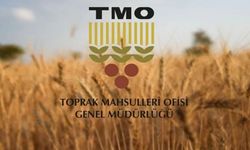 Toprak Mahsulleri Ofisi Çubuk'ta Hububat Alımlarına Başladı