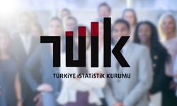TÜİK Mayıs Ayı Ücretli Çalışan Verilerini Açıkladı