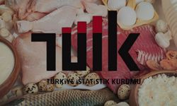 TÜİK Mayıs Verilerini Açıkladı: Yumurta ve Süt Üretimi Arttı