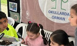Ankara'dan 48 Okul Orman Bayrağı Programı'na Katıldı