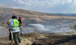 Nallıhan'da Çıkan Arazi Yangını Büyümeden Kontrol Altına Alındı