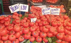 Yenimahalle’de Köylü Pazarları Sezonu Açıyor: İlk Pazar Batıkent’te Kurulacak