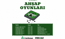 Ankara Çankaya’da Ahşap Oyunlar Parklara Taşınıyor