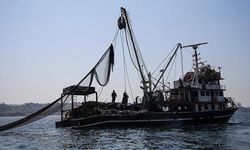 Balıkçılıkta Yeni Sezon Başlıyor: İhracat 2,3 Milyar Dolara Çıktı, İç Tüketim Dünyanın Gerisinde Kaldı