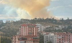 Etimesgut'ta Yer Alan Otluk Bir Alanda Yangın Çıktı