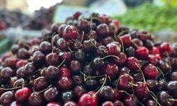 Yaş Meyve İhracatı 7 Ayda 1 Milyar Doları Aştı