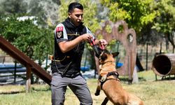 K9’lar Başkentin Güvenliği için 7/24 Sahada
