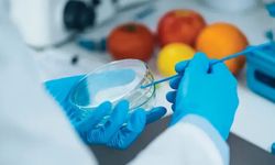 Laboratuvar Şartlarında Meyve Yetiştirmek Tarım Sektörünü Nasıl Dönüştürecek?