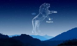 Kutuplardan Basık Yapısıyla Regulus Astrofiziğe Işık Tutuyor