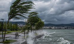 Rüzgar Neden Devamlı Olarak Aynı Hızda Esmez?