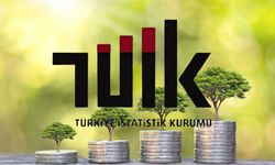 TÜİK Açıkladı: Temmuzda En Çok Kazandıran Yatırım Aracı Mevduat Faizi Oldu
