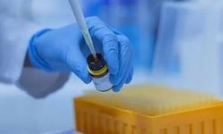 Dünya Bilim Sıralamasında 90 Türk Üniversitesi Yer Aldı