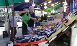 Palamut Sezonu Bereketli Başladı
