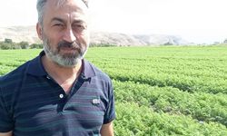 Beypazarı’nda 612 Bin Dekarda Tarımsal Üretim Yapılıyor