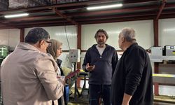 Çubuk Turşusunda Standart Denetimi: 33 İşletmede pH ve Tuz Oranına Yakın Takip