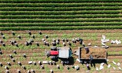 Kırsal Kalkınmaya 12,5 Milyar Liralık Hibe Desteği