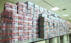 Yeni OVP Döneminde TL Mevduatın Payı Artırılacak