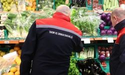Türkiye’deki Gıda Denetimlerinde 186,5 Milyon Lira Ceza Kesildi