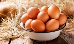 Yumurtada Fiyat Artışı Beklenmiyor