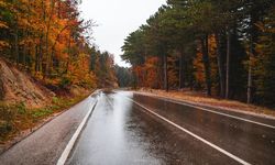 Islak Asfalt Neden Kuru Asfalttan Daha Koyu Görünüyor?