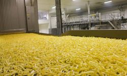 Atakey Patates’te 14 Aylık Sessizlik Bozuldu: 366 Milyonluk Zarara Karşı Geri Alım Kalkanı