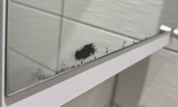 Banyo Aynalarındaki Silinmeyen Siyah Lekeler Neden Oluşur?