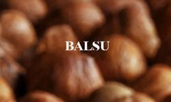 Balsu’da 4,6 Milyarlık Avans Sahaya İndi: Yüzde 57 Maliyetli Borç Kapatıldı