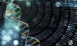 Geleceğin Bilgisayarları DNA Moleküllerinden mi Oluşacak?