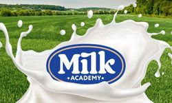 Milk Academy Borcunu Sıfırladı, Tavanı 5 Katına Çıkardı: SPK’dan 1 Milyar TL’lik Onay