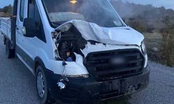 Beypazarı’nda Yola Çıkan Geyik Otomobilin Çarpması Sonucu Öldü