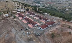 Altındağ’da Sokak Hayvanları için Yapılan Tatlar’daki Merkezde Sona Yaklaşıldı