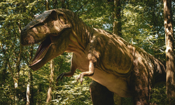 T. Rex Neden Küçük Kollara Sahipti?