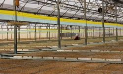 Türkiye’nin Sertifikalı Tohum Üretimi 1,35 Milyon Tona Ulaştı
