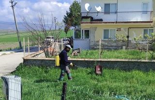Güdül'de Haşerelere Karşı Harekete Geçildi: İlçe İlaçlanıyor