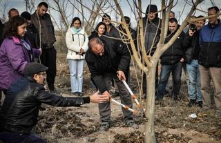 ABB’nin Ağaç Budama Kursu Tamamlandı: 50 Üretici Sertifikasını Aldı