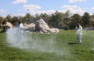 Çankaya’da Yüzlerce Noktada İlaçlama Çalışması Sürüyor