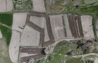 Kızılcahamam’da 40 Yıllık Özlem Bitti, Pirinç Geri Döndü