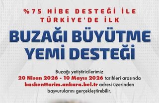 Beypazarı’nda Yüzde 75 Hibeli Buzağı Yemi Desteğinde Son Gün