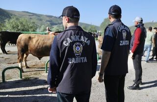 Çankaya Belediyesi’nden Kurban Bayramında Tam Kadro Hizmet