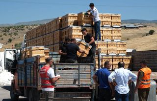 Güdül'de Arıcılara Yüzde 50 Hibeli 232 Kovan Dağıtıldı