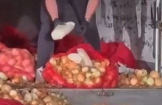 Haymana’da Soğan Torbaları İçinden 150 Kilo Metamfetamin Çıktı