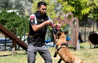 K9’lar Başkentin Güvenliği için 7/24 Sahada