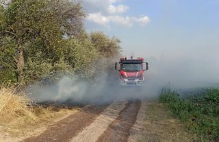 Kahramankazan'da Arazi Yangınları Korkuttu: Hobi Bahçelerine Sıçramadan Söndürüldü
