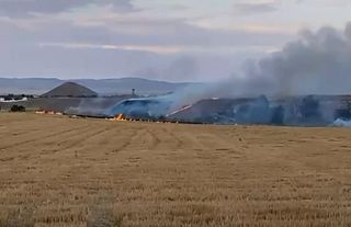 Polatlı Gordion Antik Kenti Yakınında Yangın Çıkaran Bir Kişi Suçüstü Yakalandı