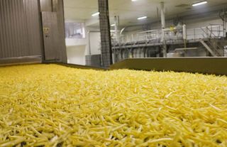 Atakey Patates’te 14 Aylık Sessizlik Bozuldu: 366 Milyonluk Zarara Karşı Geri Alım Kalkanı