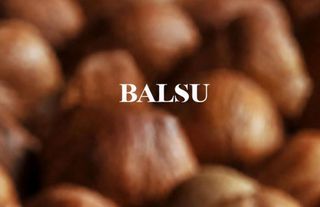 Balsu’da 4,6 Milyarlık Avans Sahaya İndi: Yüzde 57 Maliyetli Borç Kapatıldı