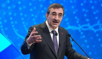 Cevdet Yılmaz’dan Sorunlu Fonlara İlişkin Açıklama: Sonuçlarına Katlanırlar