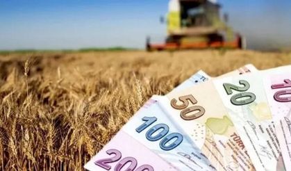 Tarım Destek Ödemeleri Çiftçilerin Hesaplarına Yattı