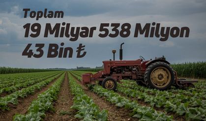 Bakanlıktan 19 Milyar TL Destek Çiftçilerin Hesaplarına Yattı
